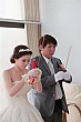 Thumbnail of v244.jpg
