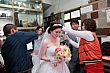 Thumbnail of v259.jpg