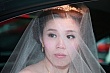 Thumbnail of v291.jpg