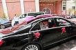 Thumbnail of v294.jpg