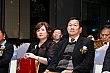 Thumbnail of ty255.jpg