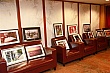ty567.jpg ty567.jpg