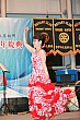 Thumbnail of s307.jpg