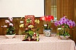 h002.jpg