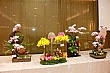 h006.jpg