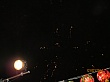 g587.jpg g587.jpg