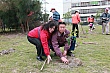 p176.jpg