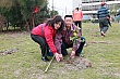 p177.jpg