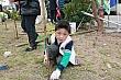 p195.jpg