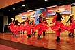 3987.jpg 3987.jpg