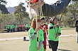 258.jpg 258.jpg