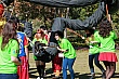 264.jpg 264.jpg