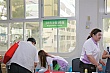 y61.jpg