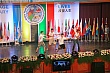 y71.jpg