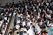 Thumbnail of y250.jpg