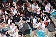 Thumbnail of y251.jpg