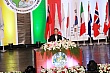 y305.jpg y305.jpg