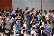 y377.jpg y377.jpg