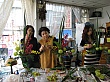 2177.jpg 2177.jpg
