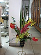 2192.jpg 2192.jpg