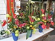 2236.jpg 2236.jpg
