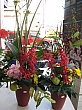 2243.jpg 2243.jpg