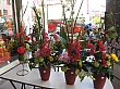 2244.jpg 2244.jpg
