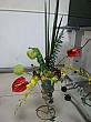 2246.jpg 2246.jpg