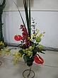 2247.jpg 2247.jpg
