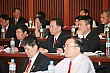 g094.jpg