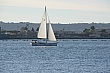 g1111.jpg g1111.jpg