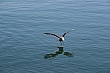g1690.jpg g1690.jpg
