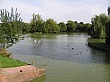 Thumbnail of IMG_2142.jpg