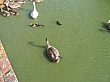 Thumbnail of IMG_2147.jpg