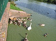 Thumbnail of IMG_2148.jpg
