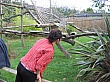 Thumbnail of IMG_2607.jpg