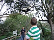 Thumbnail of IMG_2614.jpg