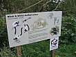 Thumbnail of IMG_2616.jpg