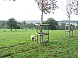 Thumbnail of IMG_2656.jpg