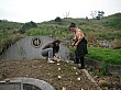 SANY0368.jpg