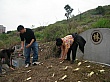 SANY0378.jpg