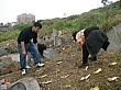 SANY0379.jpg