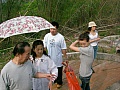 Thumbnail of SANY4020.jpg