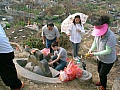 Thumbnail of SANY4034.jpg