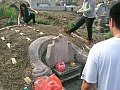 Thumbnail of SANY4046.jpg