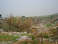 Thumbnail of SANY4054.jpg
