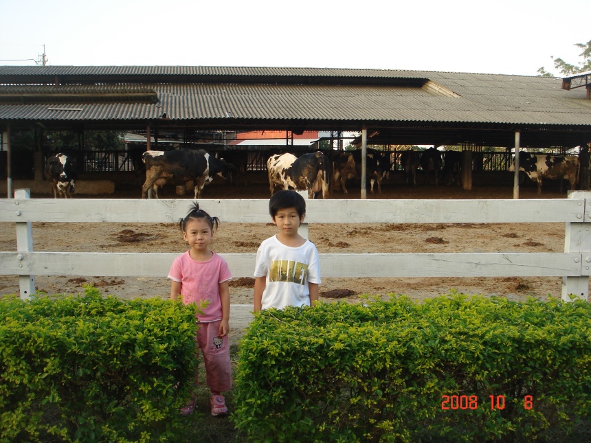 DSC02984.jpg