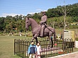 DSC03567.jpg