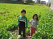 DSC03750.jpg