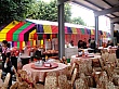 DSC00806.jpg